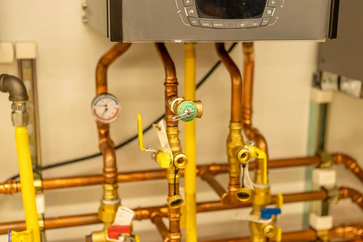 Licensed technician providing Sewer Cleanout for a homeowner in Berryville